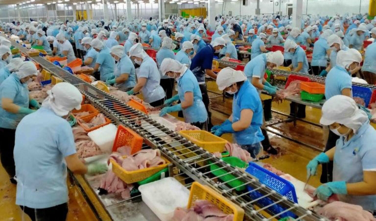 Canada - Vietnam's second largest pangasius consumer thanks to CPTPPP